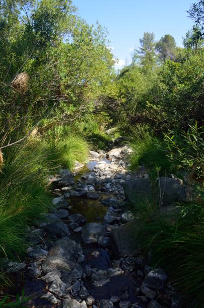 istock Waterfalls Trail, Tolox 1173639380