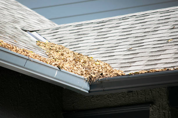 istock Damaged roof and gutter systems on a residential home 1173640017