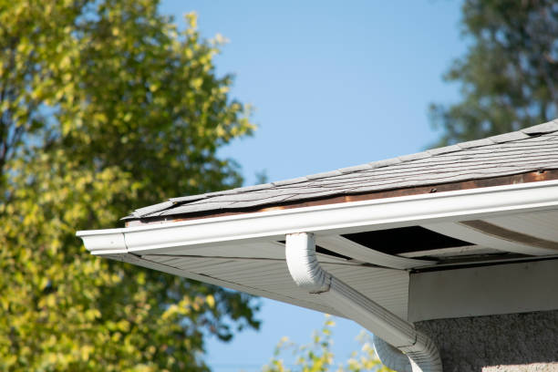 istock Damaged roof and gutter systems on a residential home 1173640029