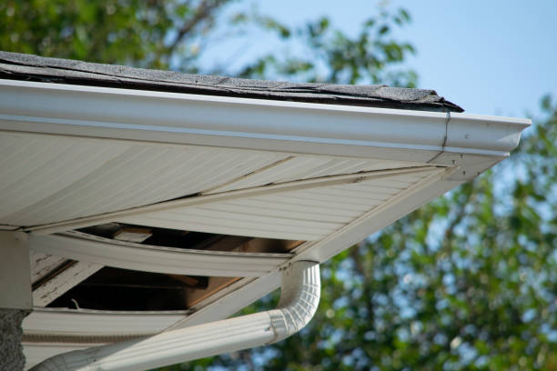 istock Damaged roof and gutter systems on a residential home 1173640030