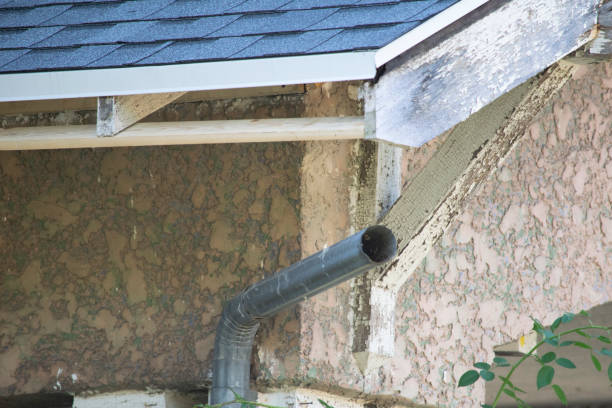 istock Damaged roof and gutter systems on a residential home 1173641302
