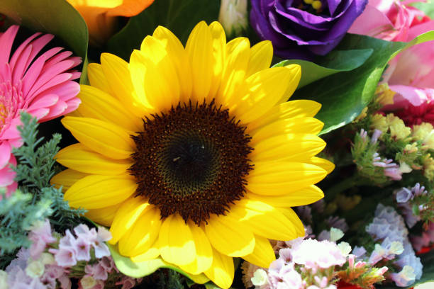 istock Colorful mixed bouquet with sunflower close up 1173644215