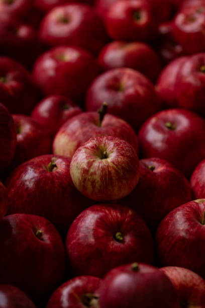 istock Autumn background. Ripe apples on table. Flat lay. 1173645032
