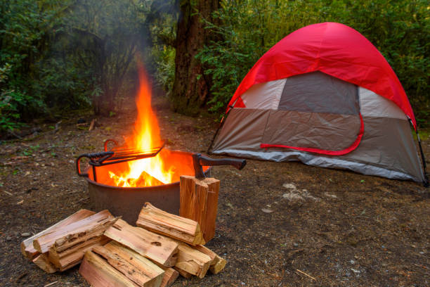 istock Camping wood fire by the camping tent 1173646958