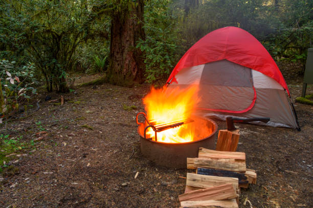 istock Camping wood fire by the camping tent 1173646974