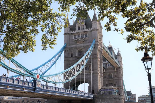istock The Tower Bridge in London 1173658518