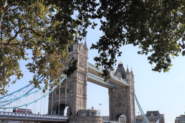 istock The Tower Bridge in London 1173658546