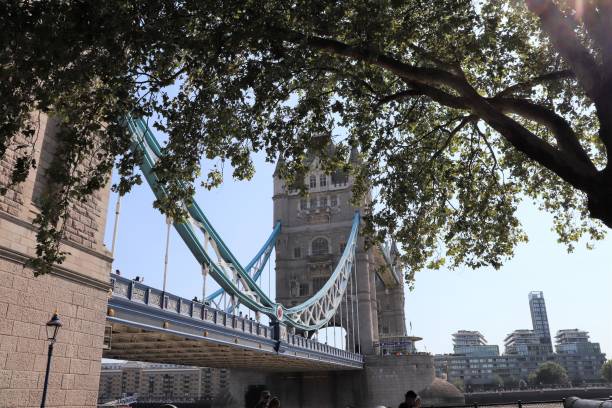 istock The Tower Bridge in London 1173658602