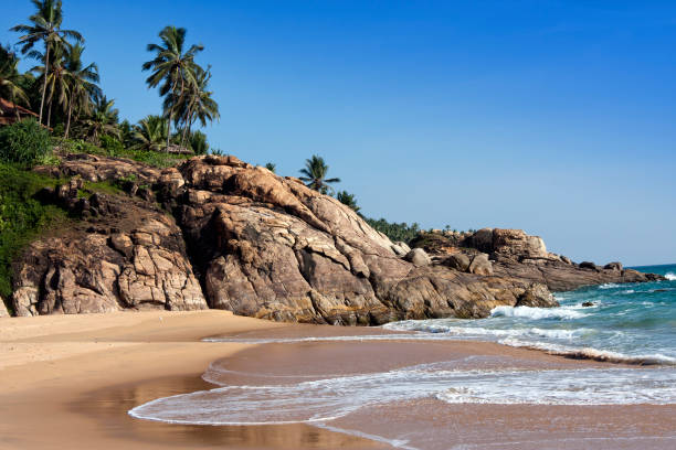 istock seashore with palm trees and big stones. India. Kerala. 1173660984