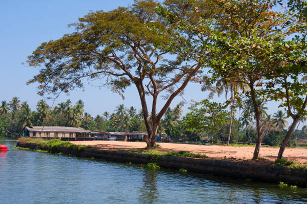 hausboot auf kerala backwaters in alleppey, indien - allepey stock-fotos und bilder