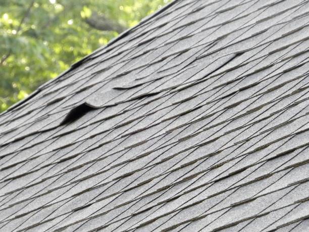istock Damaged Roof Shingles 1173664787