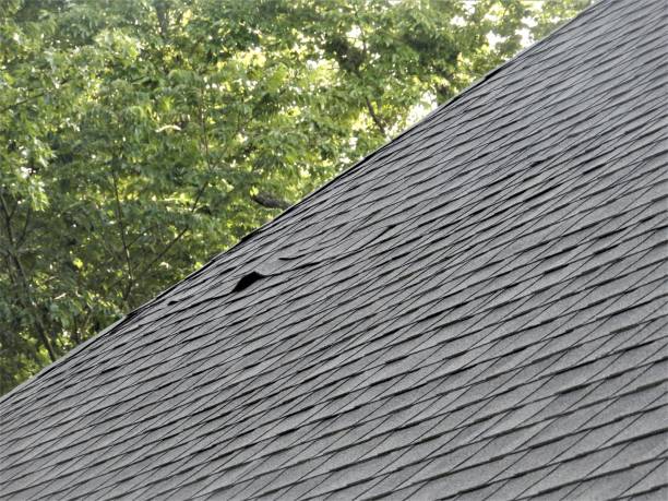 istock Damaged Roof Shingles 1173664788