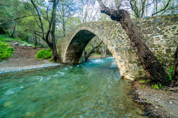 schöner bogen der mittelalterlichen venezianischen steinbrücke kelefos über diarizos bach. paphos forest, zypern - cypriot culture stock-fotos und bilder