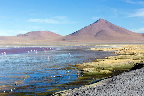 istock A beautiful picture of bolivan alitplano 1173668967
