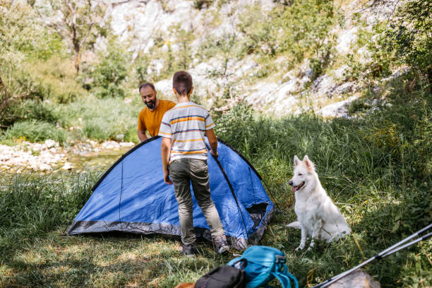 istock Teamwork for building tent in the forest 1173670105