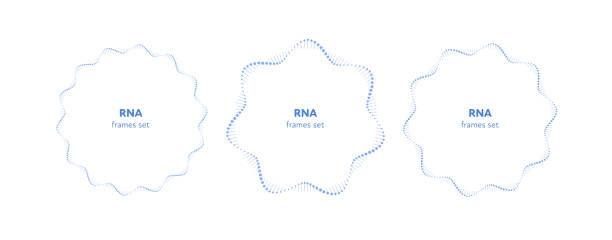 RNA science frame illustration set. Circle gene helix. Vector flat science DNA frame template set. Blue gradient atom RNA circle helix around text block on white background. Concept of future science. Design element for web, presentation, banner, poster dna borders stock illustrations