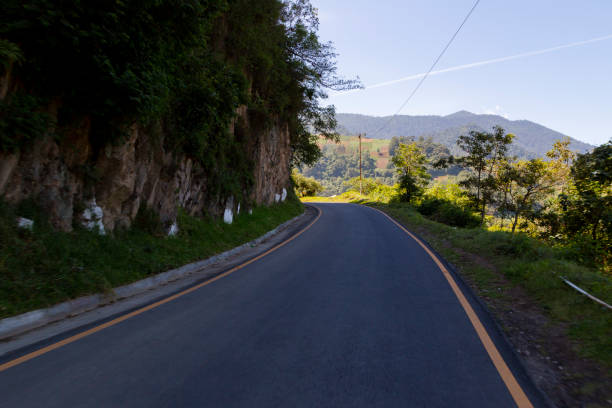 istock Empty paved road surrounded by trees on a sunny day- road in Latin America 1173671199
