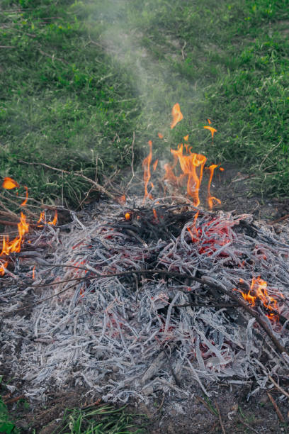 istock Fire of dry twigs on the green grass 1173672270
