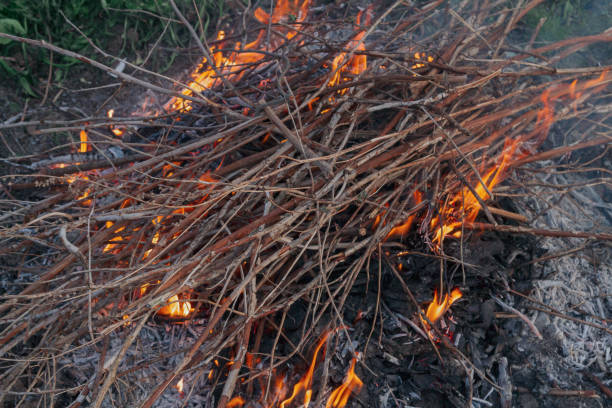 istock Fire of dry twigs on the green grass 1173672284