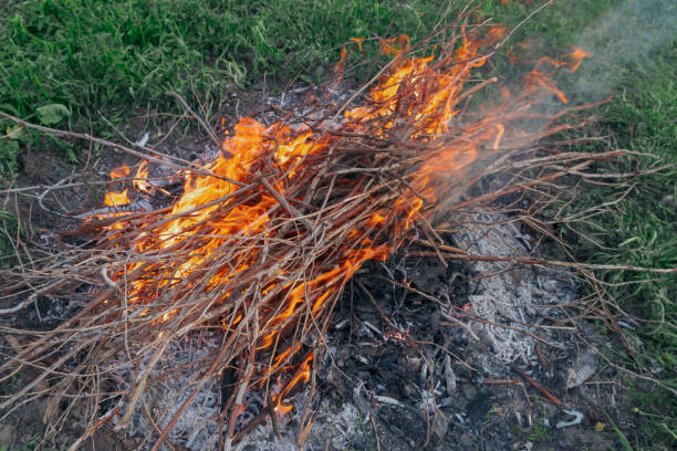 istock Fire of dry twigs on the green grass 1173672285