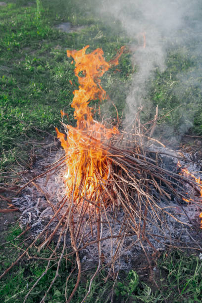 istock Fire of dry twigs on the green grass 1173672344