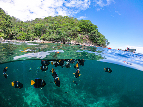 Activities in Majahuitas beach, snorkeling and kayaking