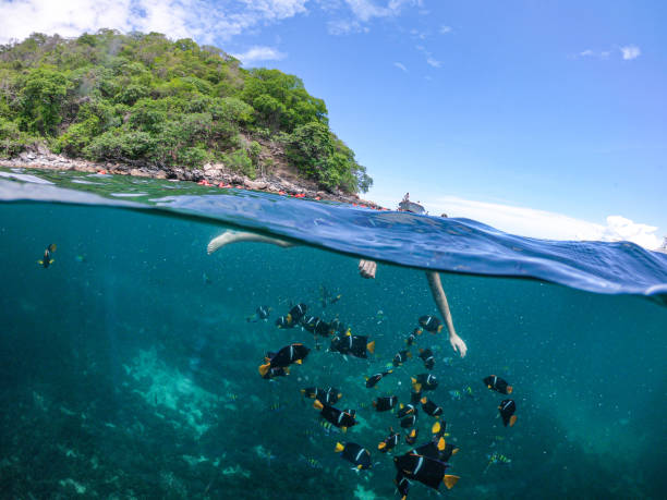 istock Majahuitas Beach in Cabo Corrientes, Puerto Vallarta, Jalisco 1173672821