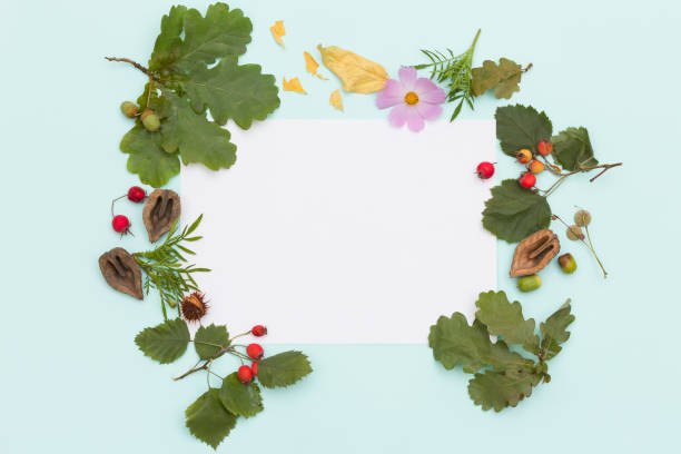 istock Top view on  different plants, nuts and flowers on turquoise wooden background.  Round frame or wreath. autumn concept 1173673597