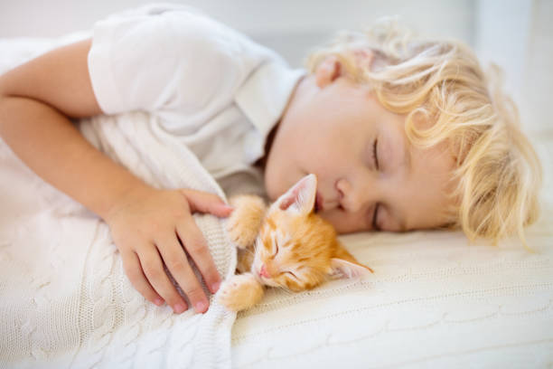 istock Baby boy sleeping with kitten. Child and cat. 1173673696