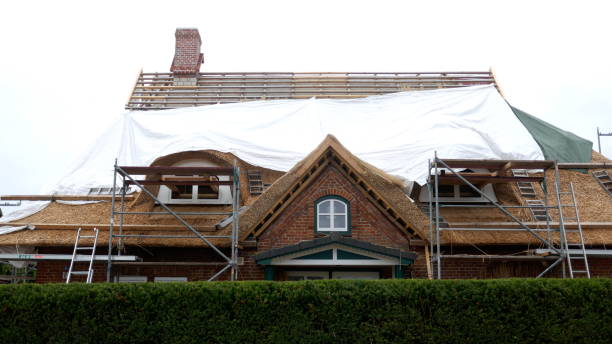 nouvelle toiture d'un toit de chaume. allemagne, schleswig-holstein - restoring scaffolding built structure home improvement photos et images de collection