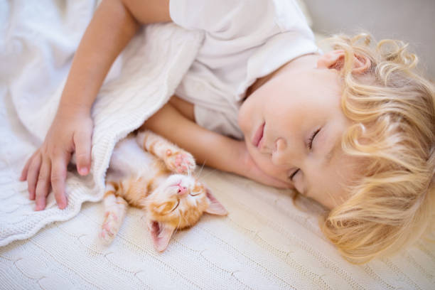 istock Baby boy sleeping with kitten. Child and cat. 1173673764