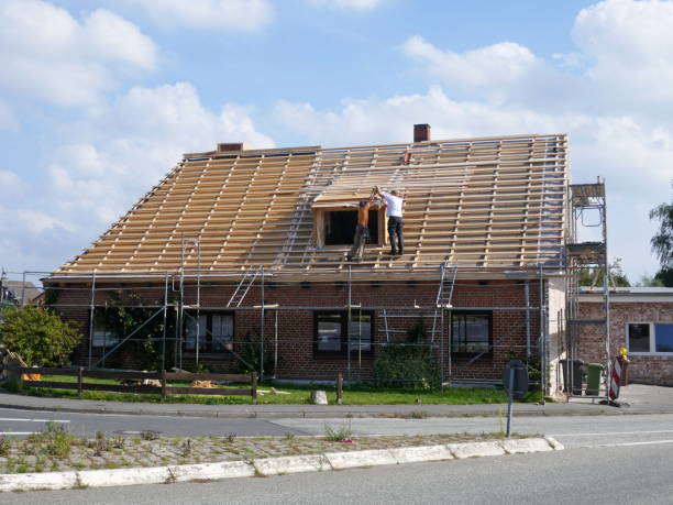 nouvelle toiture d'un toit de chaume. allemagne, schleswig-holstein - restoring scaffolding built structure home improvement photos et images de collection