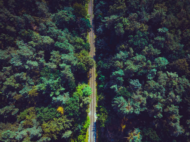 istock train line in a green forest from a drone view 1173673840