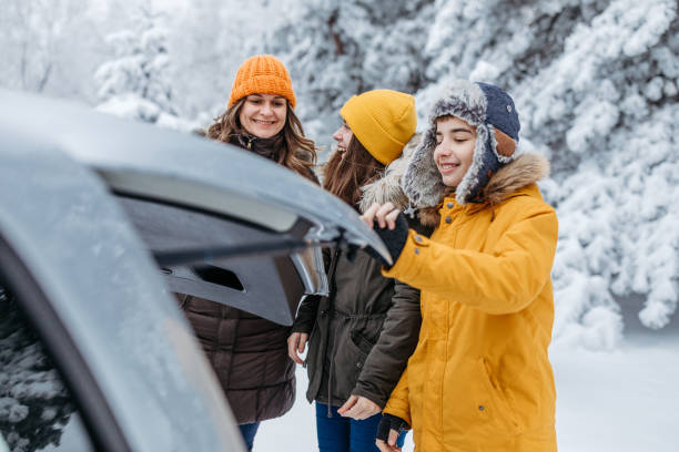 istock Family on a winter road trip 1173674254
