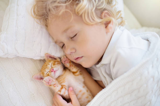 istock Baby boy sleeping with kitten. Child and cat. 1173675141