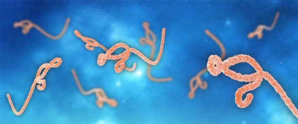 Micro models of Ebola viruses 3D objects of Ebola Viruses in abstract plasma ebola stock pictures, royalty-free photos & images