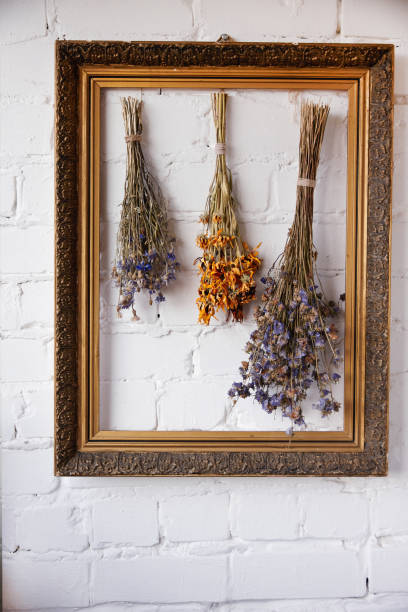 istock Three bunches of dried wildflowers in an old frame against a white brick wall, selective focus 1173678931