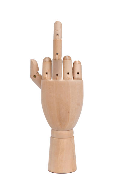 istock Wooden hand show middle finger 1173679034