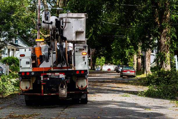 istock Power Utility Truck 1173679065