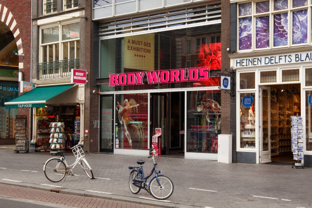 Entrance to Body Worlds museum. More than 200 real dead human bodies are a part of this Amsterdam interactive exhibition and illustrate detailed human anatomy. AMSTERDAM, NETHERLANDS - JUNE 25, 2017: Entrance to Body Worlds museum. More than 200 real dead human bodies are a part of this Amsterdam interactive exhibition and illustrate detailed human anatomy. plastination photos stock pictures, royalty-free photos & images