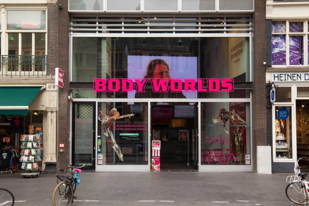 Entrance to Body Worlds museum. More than 200 real dead human bodies are a part of this Amsterdam interactive exhibition and illustrate detailed human anatomy. AMSTERDAM, NETHERLANDS - JUNE 25, 2017: Entrance to Body Worlds museum. More than 200 real dead human bodies are a part of this Amsterdam interactive exhibition and illustrate detailed human anatomy. plastination photos stock pictures, royalty-free photos & images