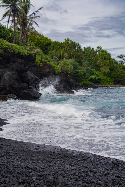 istock Waves on Black Sand Beach, Maui 1173685578