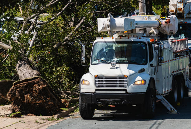 istock Power Utility Truck 1173695511