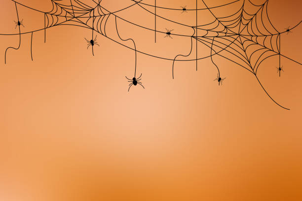 istock black silhouette group of spider creating net residence at the corner  on retro blur orange gradient color background for halloween night party design concept concept 1173696923