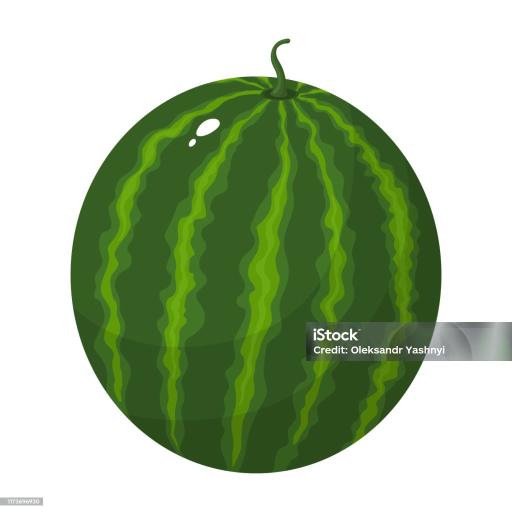 Phim Hoạt Hình Đầy Màu Sắc Toàn Bộ Dưa Hấu Xanh Được Cô Lập Trên ...