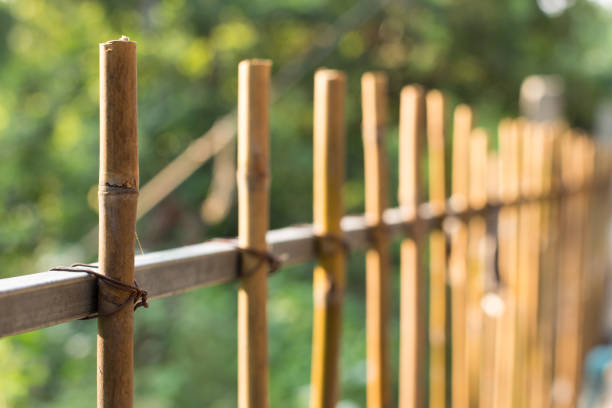 Selective focus of Bamboo fence on natural blurred background