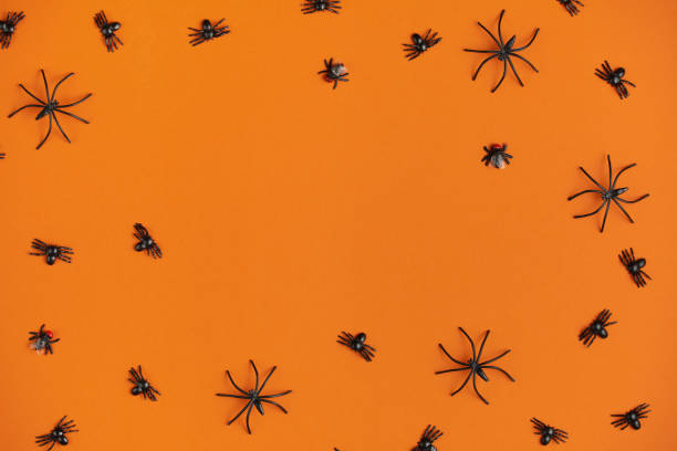 istock background for halloween, spiders on an orange table 1173704899