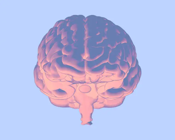 Photo of Soft color human brain illustration isolated on blue BG