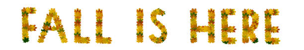 istock Phrase Fall is here of yellow, green and orange maple autumn leaves close-up. Isolate on white background 1173705889