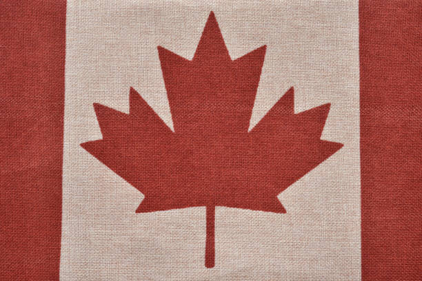 Canada flag. The Canadian flag resembling red with white colors and a maple leaf. Hight quality vector.